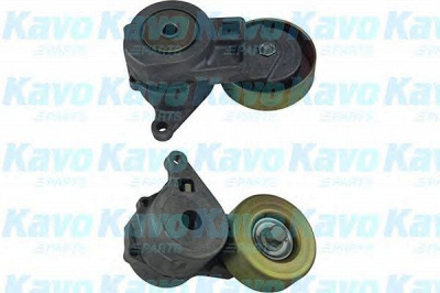 KAVO PARTS dtp5501 -  Натяжной ролик, поликлиновой  ремень